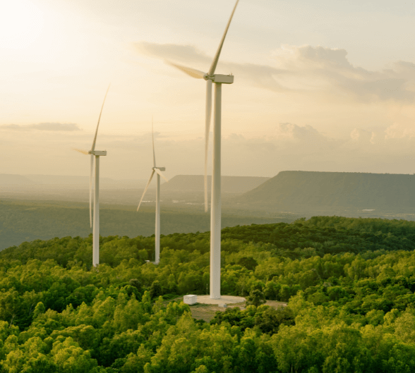 Forest with wind turbines