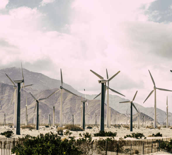 Desert wind farm